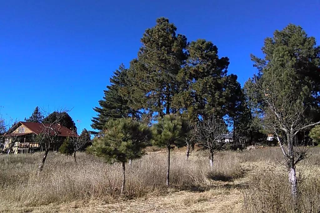 Rancho Pitorreal ξενώνας Huichigomachi Εξωτερικό φωτογραφία